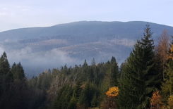Więcej o: Fotorelacja lipiec