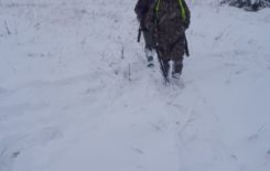 Więcej o: Polowanie zbiorowe 22.11