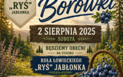 Więcej o: Święto Borówki