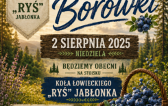 Więcej o: Święto Borówki