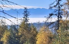 Więcej o: Pierwsze Polowanie zbiorowe w sezonie